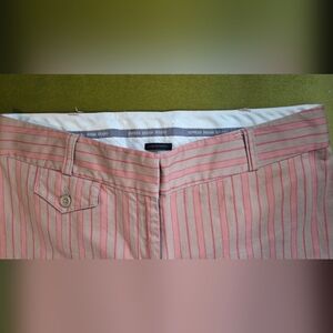 EXPRESS Design Studio Correspondent CAPRI Pants- WOMEN'S